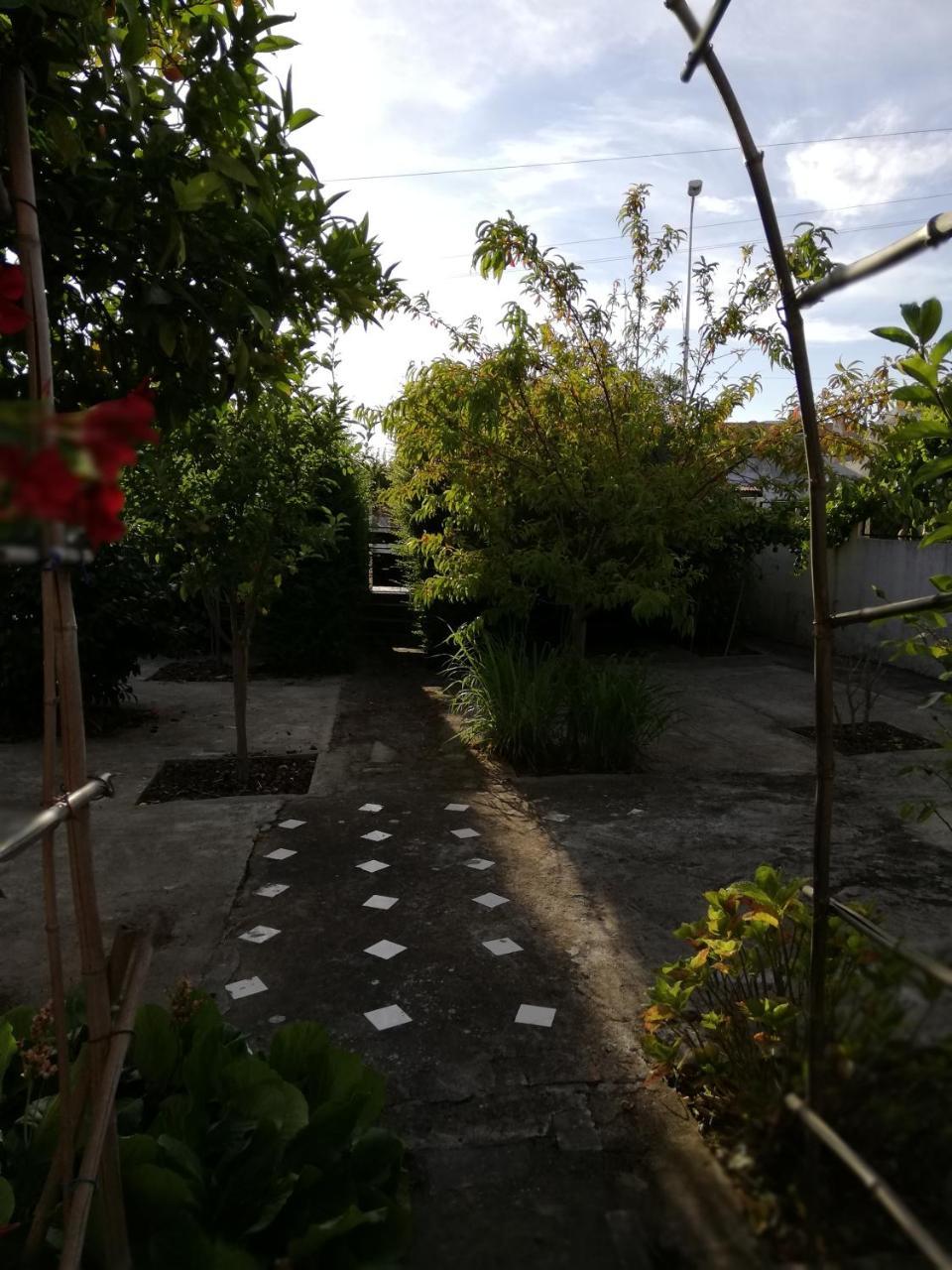 Casa Conceicao Daire Atalaia  Dış mekan fotoğraf